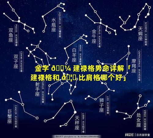 金字 🐼 建禄格男命详解「建禄格和 🦊 比肩格哪个好」